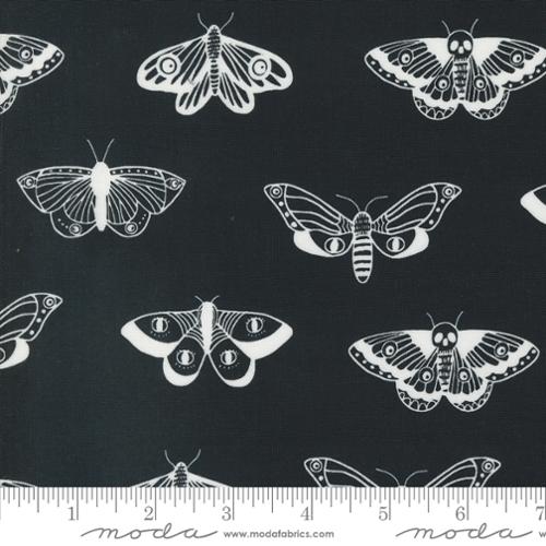 Noir Midnight Ghost Moth Collection